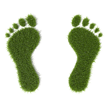 carbon footprint